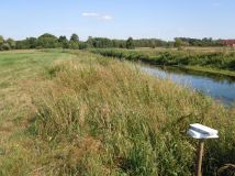 Działka rolna Biała Podlaska. Zdjęcie 2