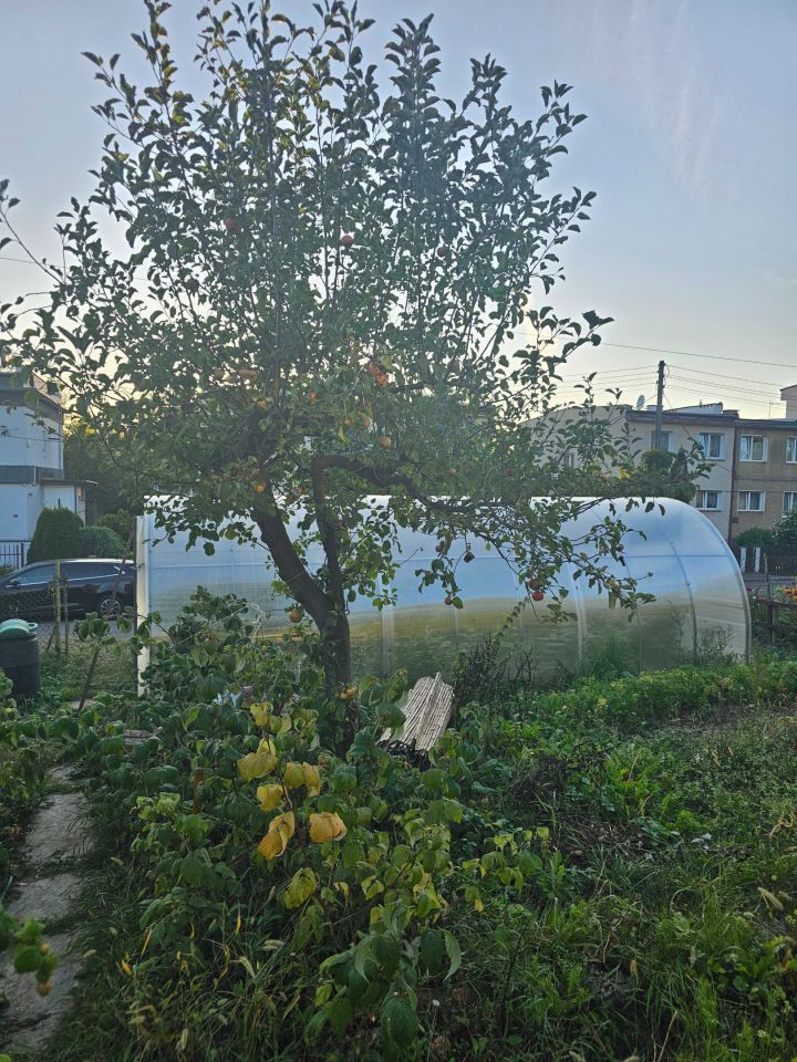 Działka rod Kłodzko, ul. Jasna. Zdjęcie 4