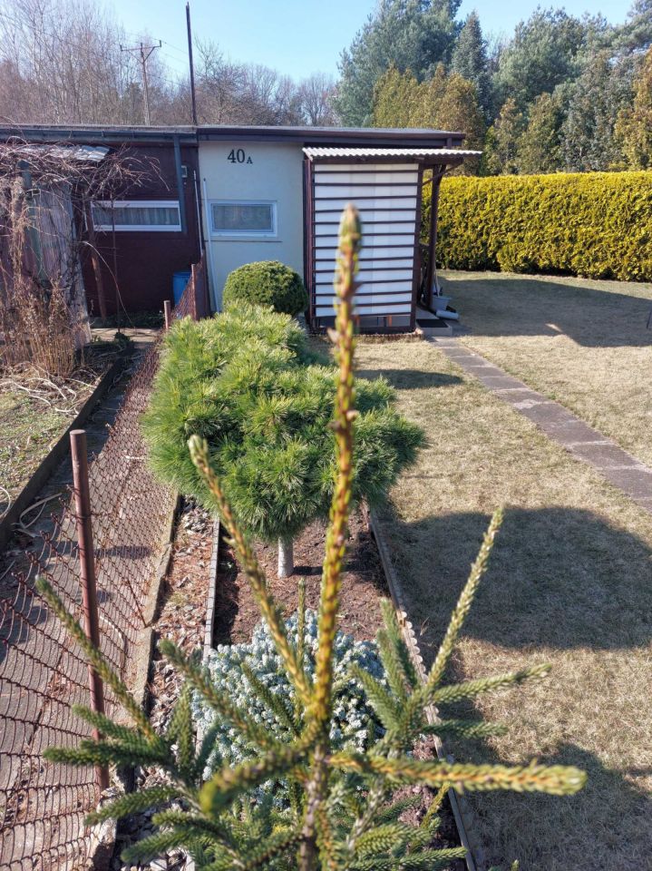 Działka rod Żyrardów, ul. Andrzeja Struga. Zdjęcie 4