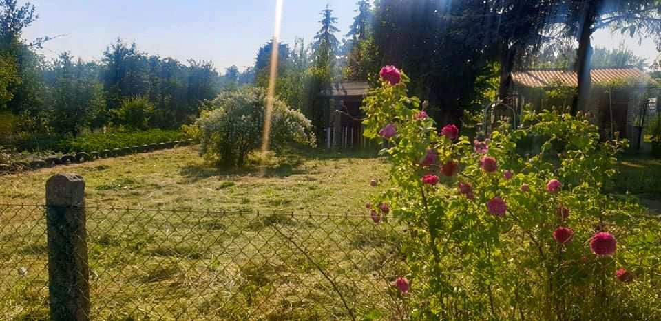 Działka rekreacyjna Choszczno, ul. Fabryczna. Zdjęcie 1
