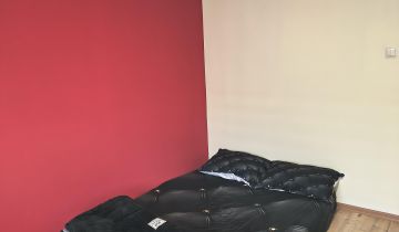 Mieszkanie 2-pokojowe Brzezina