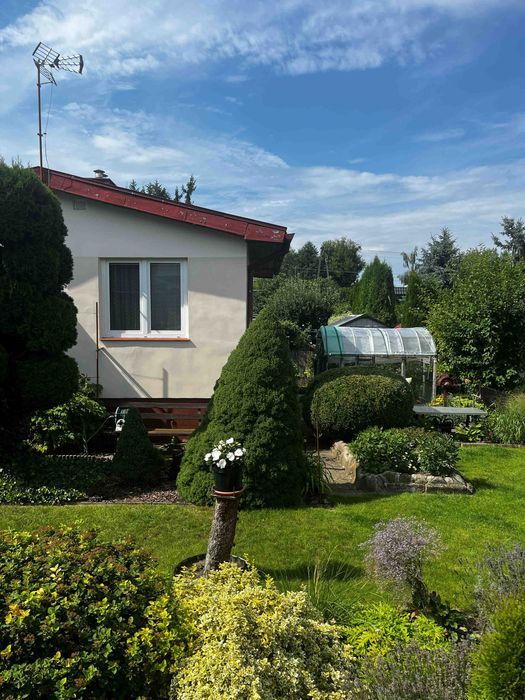 Działka rod Wierzchucinek. Zdjęcie 1