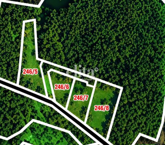 Działka budowlana Rąb Trzy Rzeki. Zdjęcie 8