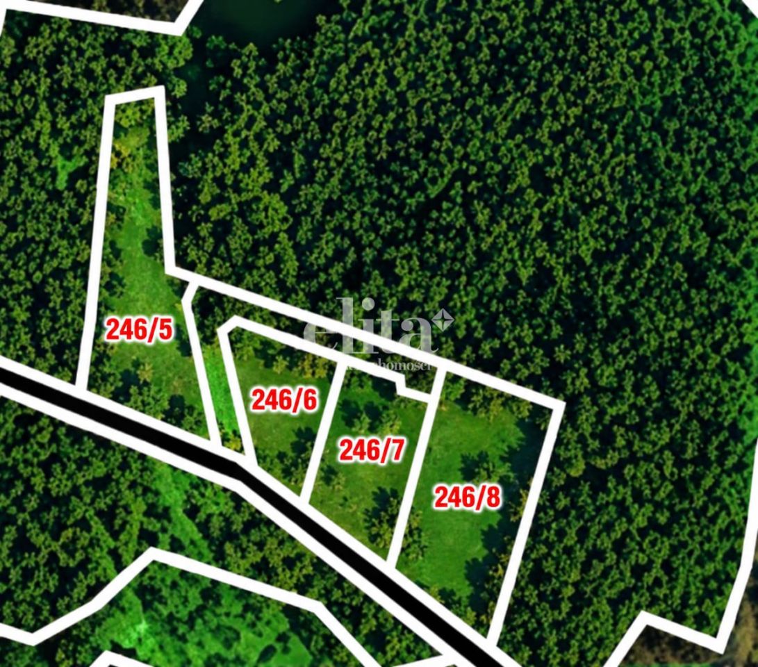 Działka budowlana Rąb Trzy Rzeki. Zdjęcie 8