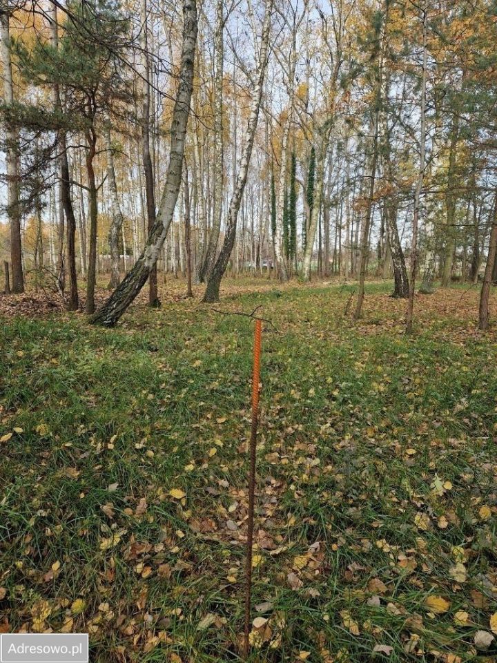 Działka budowlana Cholewy. Zdjęcie 4