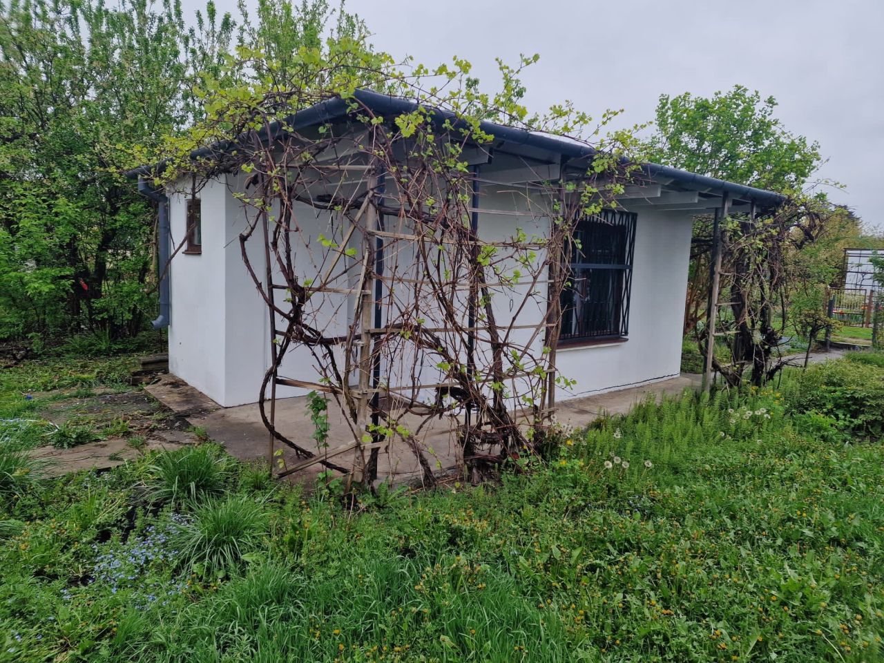 Działka rekreacyjna Łask