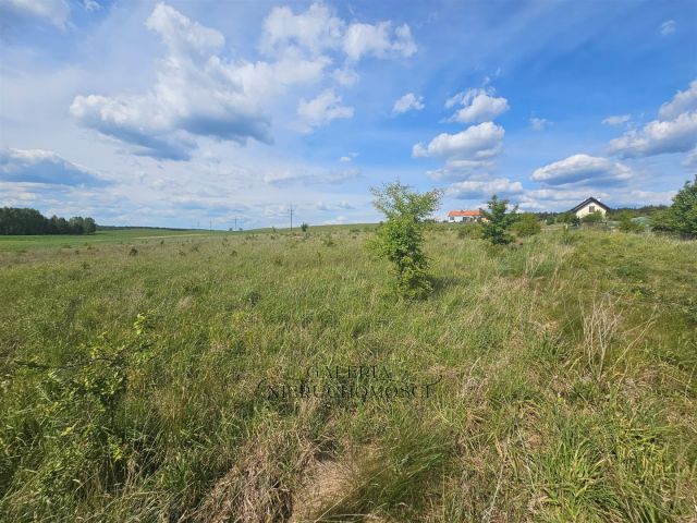 Działka budowlana Woryty. Zdjęcie 7