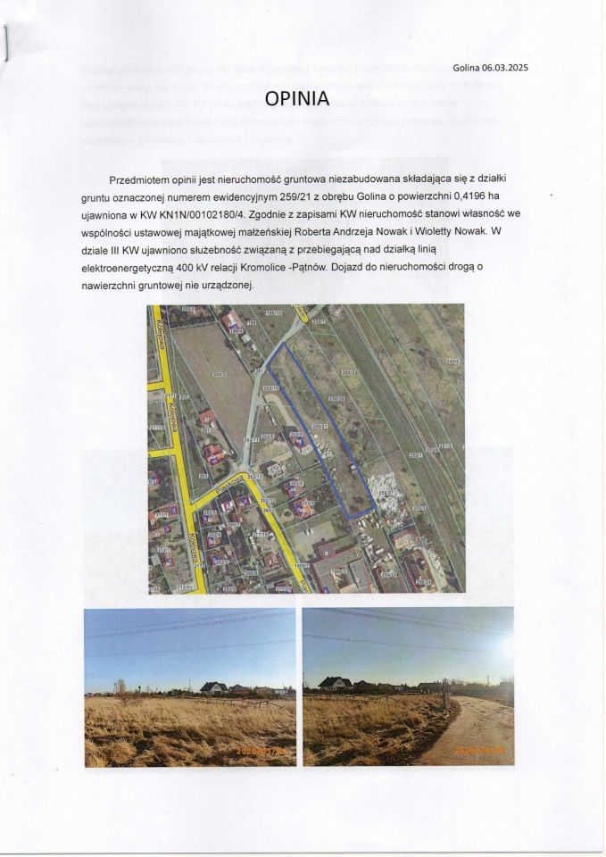 Działka rolno-budowlana Golina. Zdjęcie 2