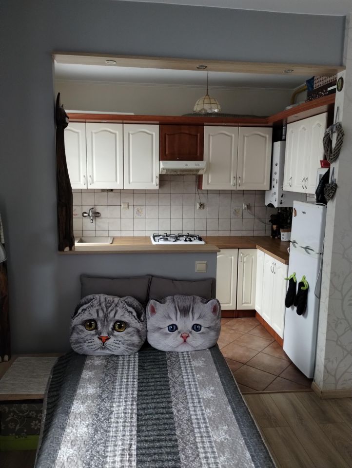 Mieszkanie 1-pokojowe Brwinów, ul. Sochaczewska. Zdjęcie 12