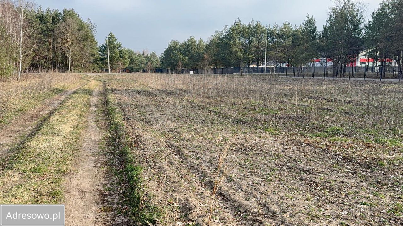 Działka budowlana Grzegorzewice, ul. Tarczyńska. Zdjęcie 2