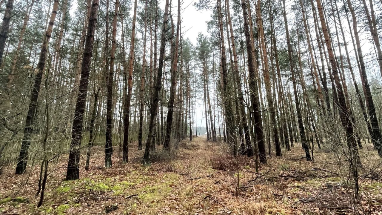 Działka budowlana Kamieńczyk. Zdjęcie 5