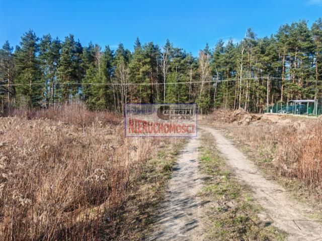 Działka budowlana Kąck, ul. Leśna. Zdjęcie 6