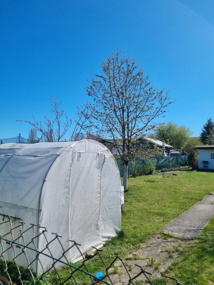 Działka rod Gliwice Szobiszowice, ul. Rybnicka. Zdjęcie 6