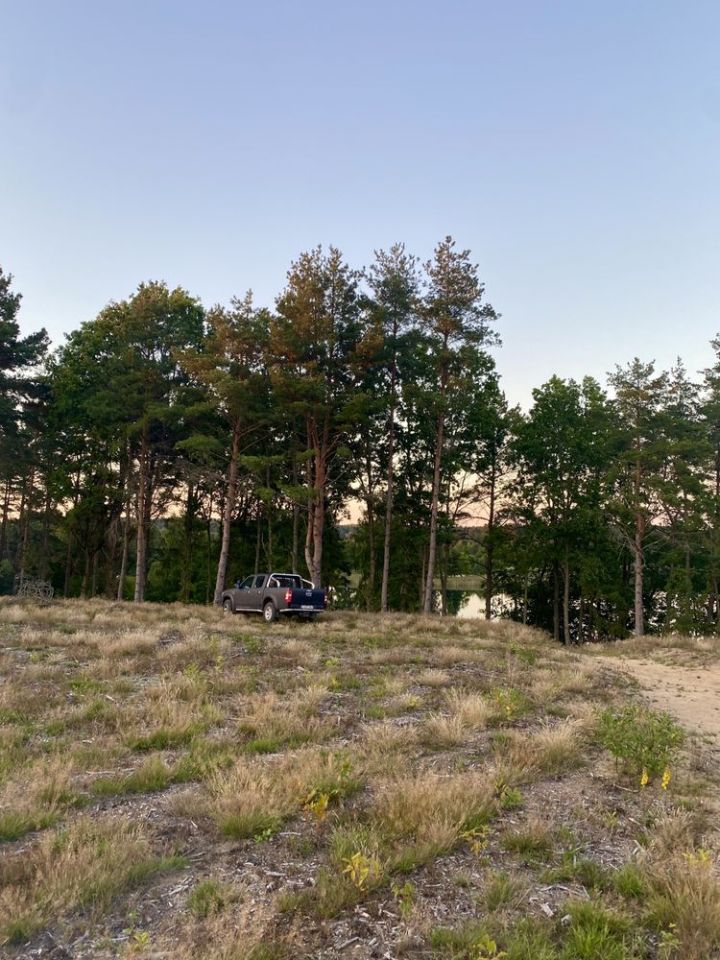 Działka rekreacyjna Spore. Zdjęcie 5