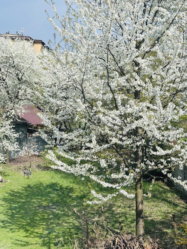 Mieszkanie 5-pokojowe Czechowice-Dziedzice, ul. Klasztorna. Zdjęcie 25