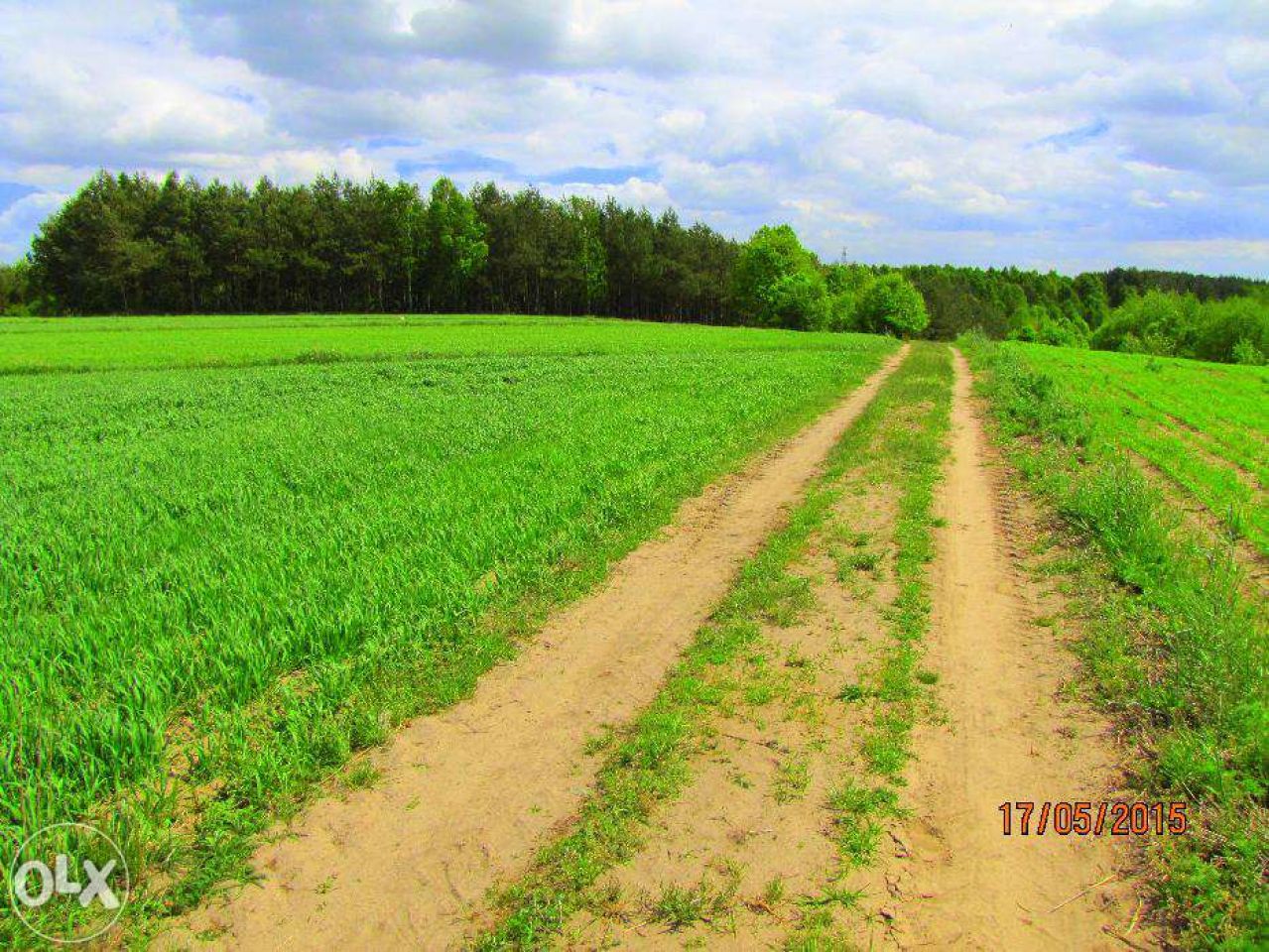 Działka budowlana Psary. Zdjęcie 6