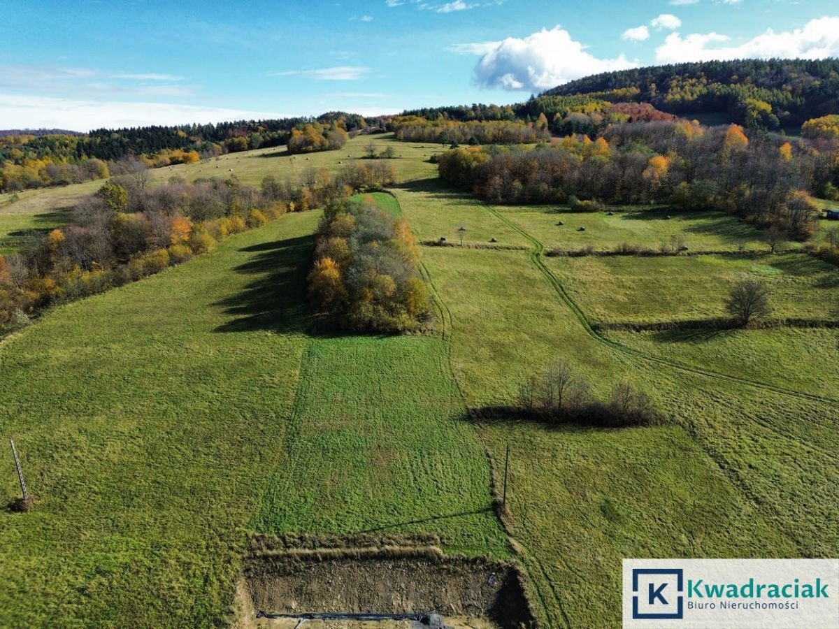 Działka rolna Rymanów-Zdrój Deszno. Zdjęcie 4