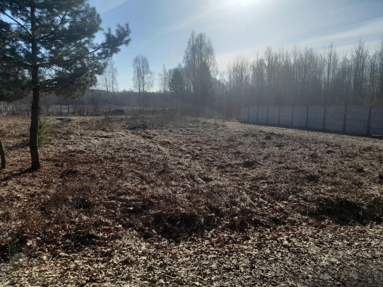 Działka budowlana Samsonów-Podlesie. Zdjęcie 6