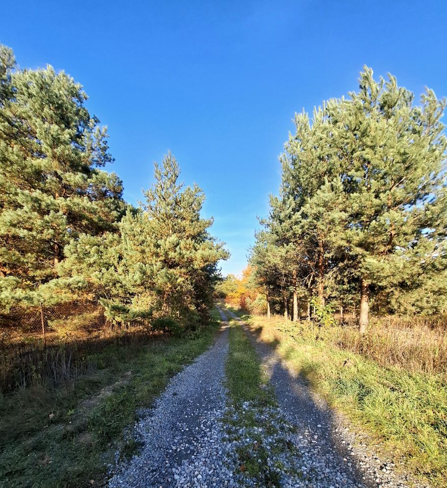 Działka budowlana Wólka Dworska. Zdjęcie 8