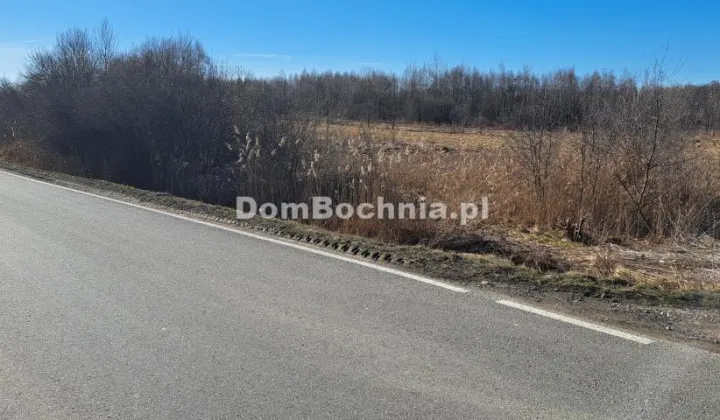 Działka inwestycyjna Borek