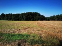Działka siedliskowa Żegrówko. Zdjęcie 1