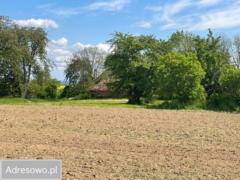 Działka rolno-budowlana Dobroszów. Zdjęcie 10