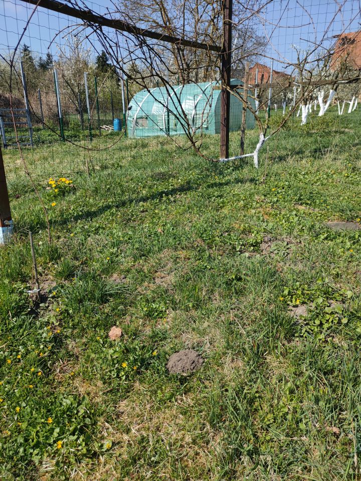 Działka rolna Trzebórz. Zdjęcie 10