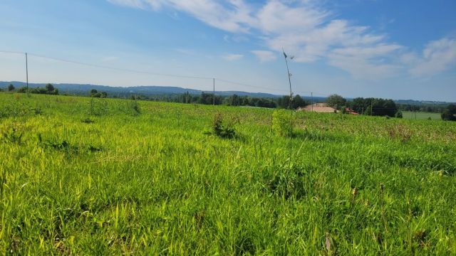 Działka budowlana Ustroń, ul. Przetnica. Zdjęcie 1