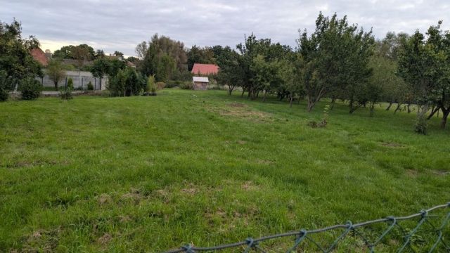 Działka budowlana Bojadła. Zdjęcie 1