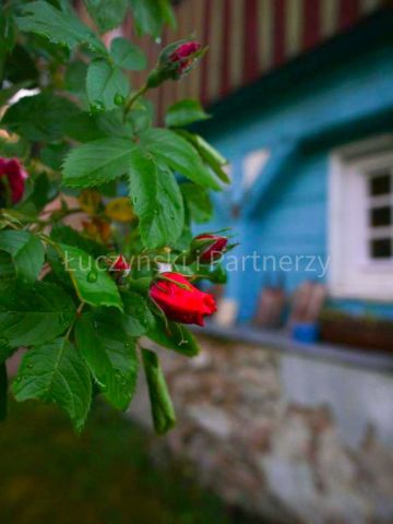 dom wolnostojący, 8 pokoi Chromiec. Zdjęcie 2