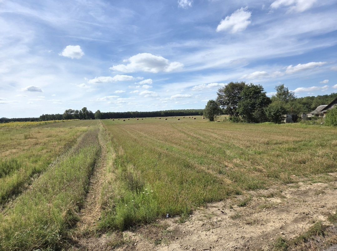 Działka rolna Kopytów-Kolonia. Zdjęcie 5