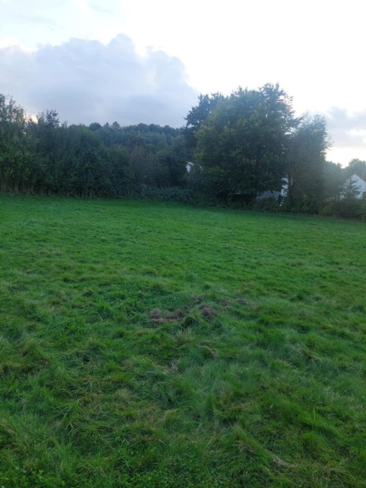 Działka budowlana Lwówek Śląski, ul. Płakowicka. Zdjęcie 4