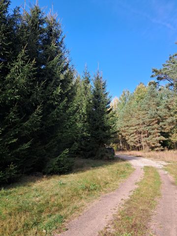 Działka budowlana Ruciane-Nida, ul. Kowalik. Zdjęcie 3