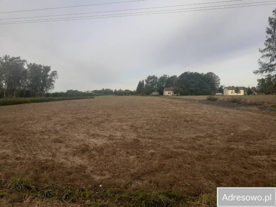 Działka rolna Biała Wieś. Zdjęcie 7