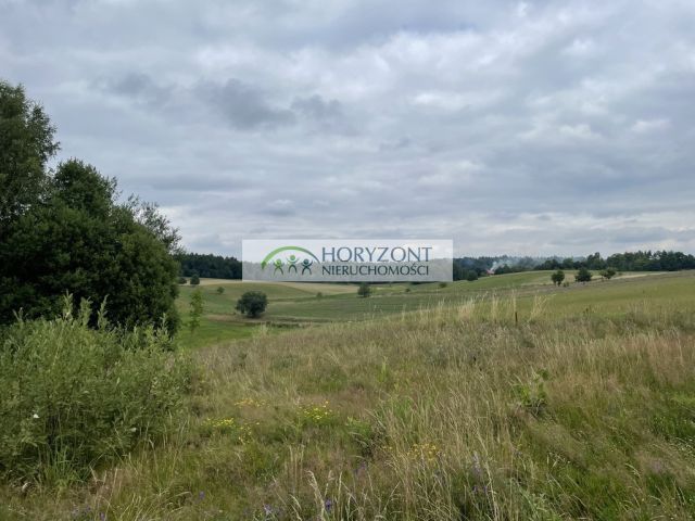 Działka Nowa Wieś Przywidzka. Zdjęcie 3