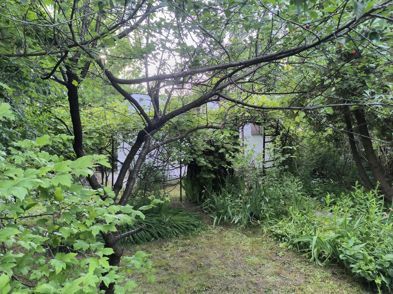 Działka rod Warszawa Paluch, ul. Kinetyczna. Zdjęcie 4