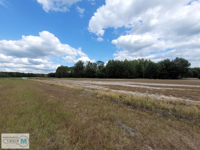 Działka rekreacyjna Stanowiska. Zdjęcie 6