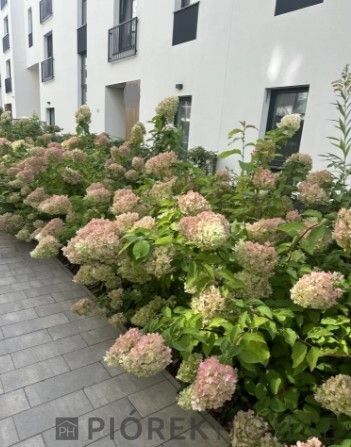 Mieszkanie 3-pokojowe Warszawa Bielany, ul. Sokratesa. Zdjęcie 18