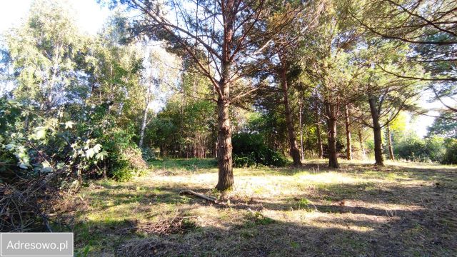 Działka rolno-budowlana Machowinko. Zdjęcie 1