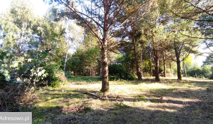 Działka rolno-budowlana Machowinko