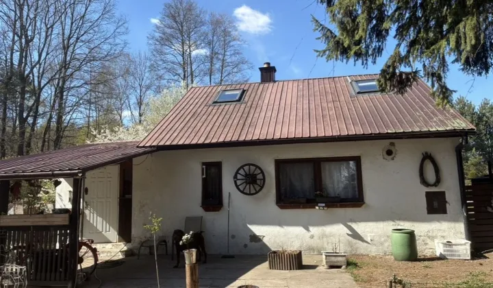 dom wolnostojący, 2 pokoje Trzcianka