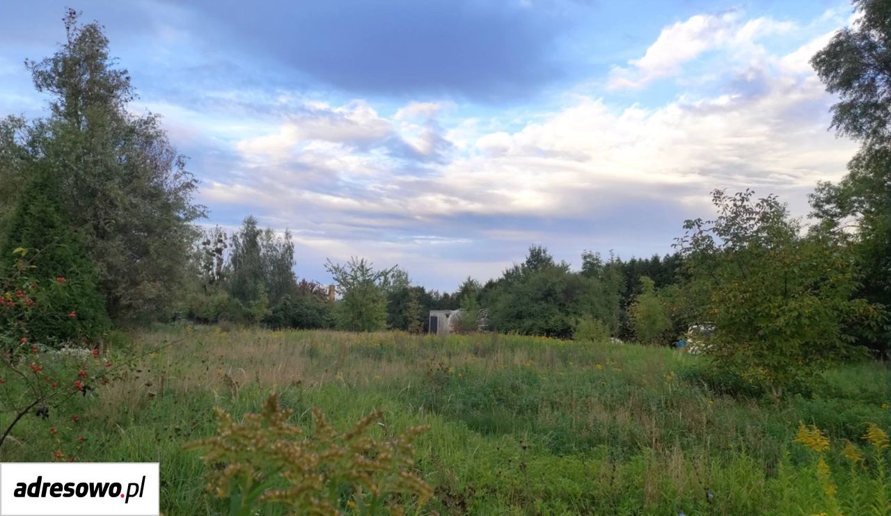 Zdjęcie 8