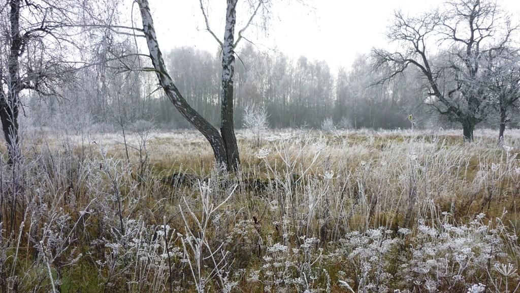 Działka rolno-budowlana Dłużew. Zdjęcie 4