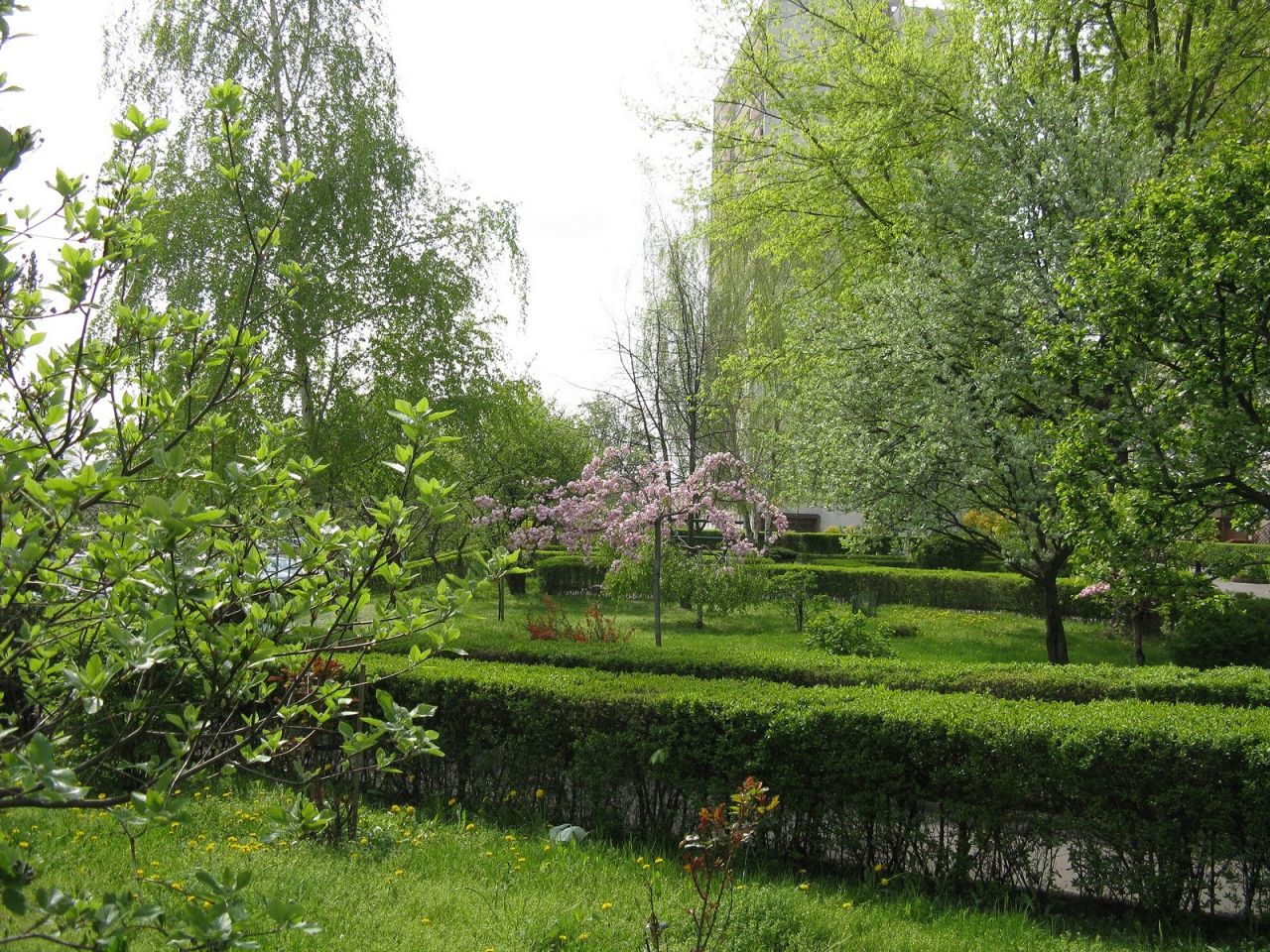 Mieszkanie 3-pokojowe Warszawa Mokotów, Czerniakowska. Zdjęcie 50