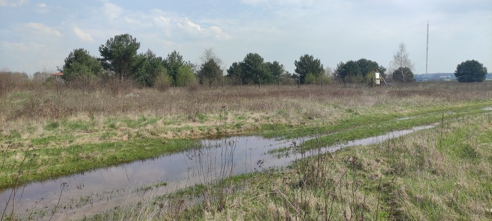 Działka budowlana Walendów. Zdjęcie 5