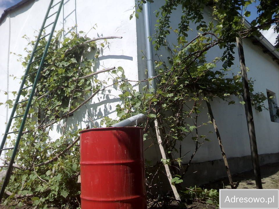 dom wolnostojący, 3 pokoje Włocławek Milęcin, ul. Cienista. Zdjęcie 6