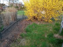 Działka rod Łódź Górna. Zdjęcie 1