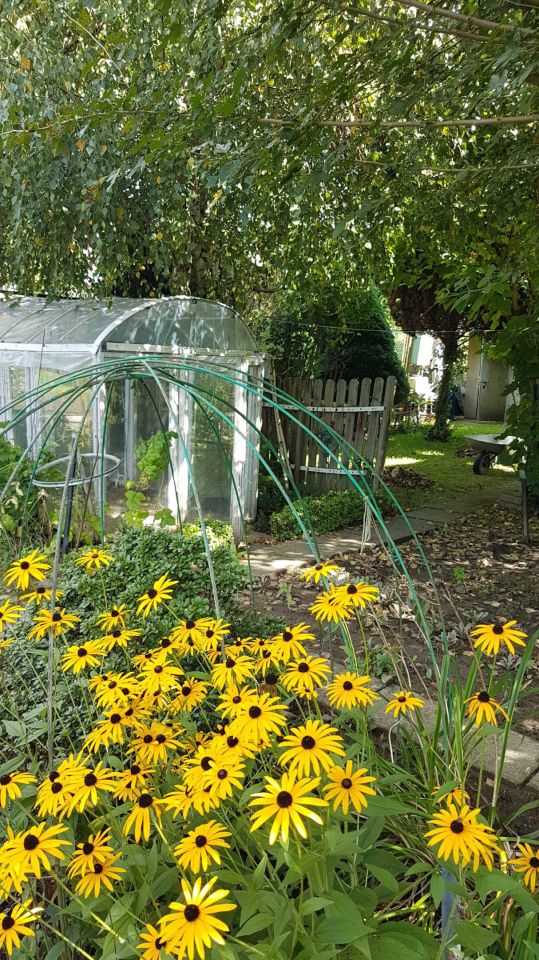 Działka rod Rzeszów, ul. Spółdzielcza. Zdjęcie 7