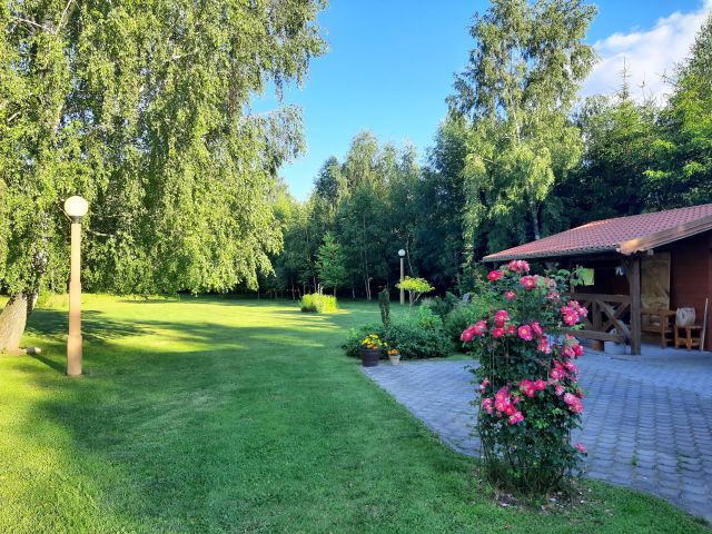 Działka budowlana Starzykowo. Zdjęcie 4