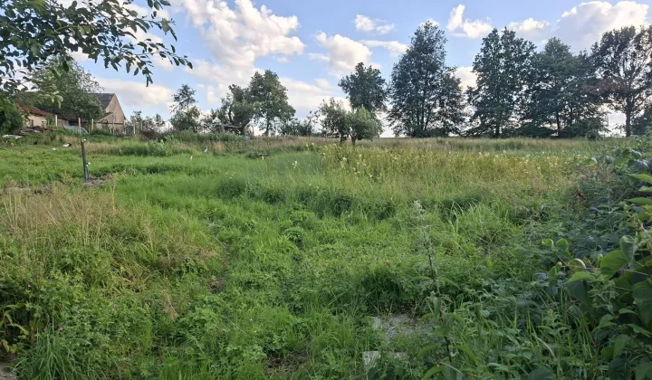 Działka inwestycyjna Widów